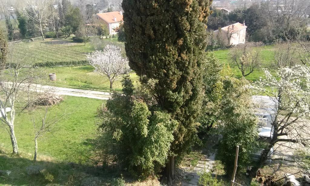 Agriturismo Bosco Fiorito Villa Múggia Екстериор снимка